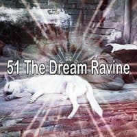 51 The Dream Ravine