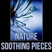 Nature Soothing Pieces - Instrumental Relaxing Music, New Age, Zen Meditation & Well Being, Yoga Background Music