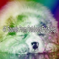 41 Sounds From Outdoors For Sleep