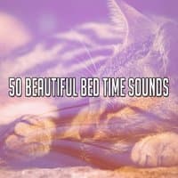 50 Beautiful Bed Time Sounds