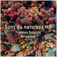 Natureza Sons - Floresta Tropical Relaxante