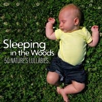 Sleeping in the Woods: 50 Nature’s Lullabies for Newborn, Healing Sounds for Baby Trouble Sleeping