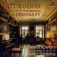 Бетховен: Фортепианные сонаты Nos. 11, 12, 13 & 14