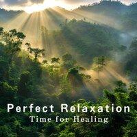 Perfect Relaxation - Time for Healing