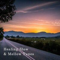 Healing Slow & Mellow Tunes