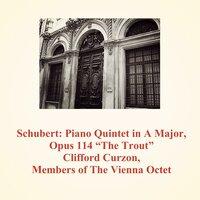 Piano Quintet in A Major, Opus 114 "The Trout": V. Finale (Allegro giusto)