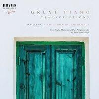 Great Piano Transcriptions from the Golden-Age