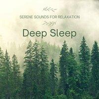 Serene Sounds for Relaxation