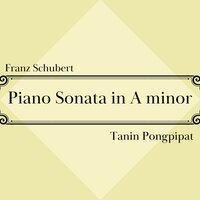 Schubert: Piano Sonata in A Minor, Op. 143