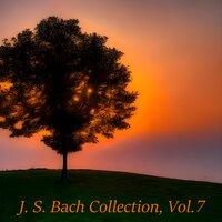 J. S. Bach Collection, Vol. 7
