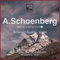 A. Schoenberg: Notturno for Strings and Harp