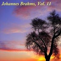 Johannes Brahms, Vol. 11