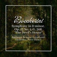 Boccherini: Symphony in D Minor, Op. 12 No. 4, G. 506 "The Devil's House"