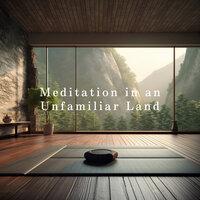 Meditation in an Unfamiliar Land