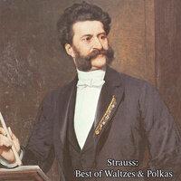 Strauss: Best of Waltzes & Polkas