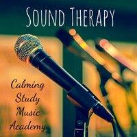 Sound Therapy - Calming Study Music Academy for Deep Focus Relaxation Technique with New Age Yoga Nature Sounds