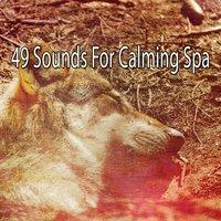 49 Sounds For Calming Spa