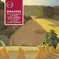 Brahms: Clarinet & Piano Quintets