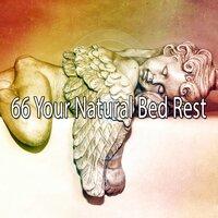 66 Your Natural Bed Rest