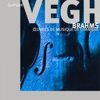 Brahms: Oeuvres de musique de chambre