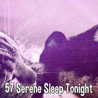 57 Serene Sleep Tonight