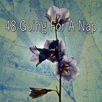 48 Going For a Nap