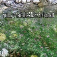 Sounds To Neutralise A Noisy Environment