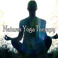 Natures Yoga Therapy