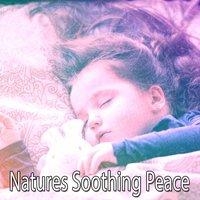 Natures Soothing Peace