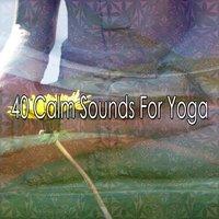 40 Calm Sounds For Yoga