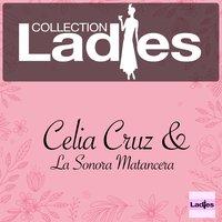 Ladies Collection