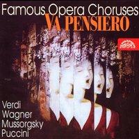 Famous Opera Choruses - Verdi, Weber, Wagner, Puccini