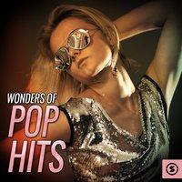 Wonders of Pop Hits