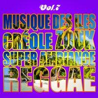 Musiques Des Îles: Créole, Ambiance, Zouk, Reggae, Vol. 7
