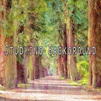 Studying Background