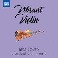 Vibrant Violin