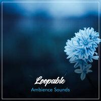 #14 Loopable Ambience Sounds for Relaxation Therapy
