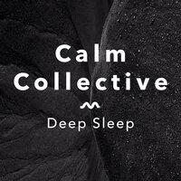 Calm Collective