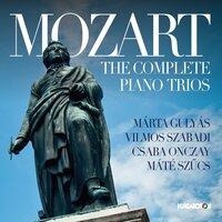 Piano Trio in D Minor, K. 442 (Completed by M. Stadler): III. Allegro