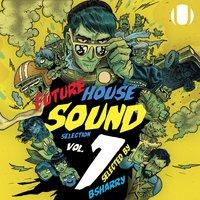 Future House Sound Selection,  Vol. 1