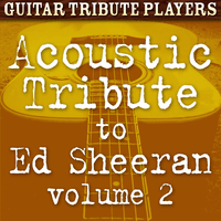 Acoustic Tribute to Ed Sheeran, Vol. 2