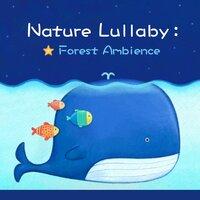 Nature Lullaby：ocean World