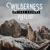 Wilderness nature sound playlist