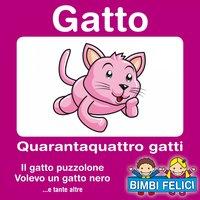 Gatto