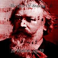 The Best Of Brahms 16 Waltzes, Op 39