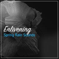 #19 Enlivening Spring Rain Sounds for Spa & Sleep Relaxation