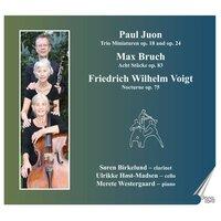 Juon, Bruch and Voigt: Trios for Clarinet, Cello and Piano