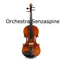 Orchestra Senzaspine