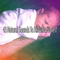43 Natural Sounds To Alleviate Unrest