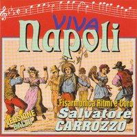 Viva Napoli - fisarmonica ritmi e coro di Salvatore carrozzo